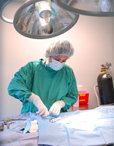 Our Surgical Services